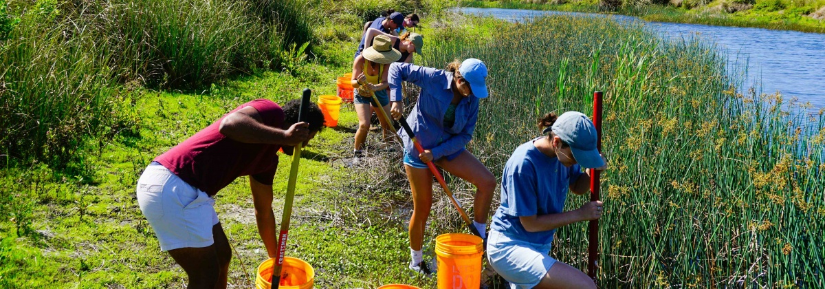 Waar burgers en wetenschap elkaar vinden: citizen science