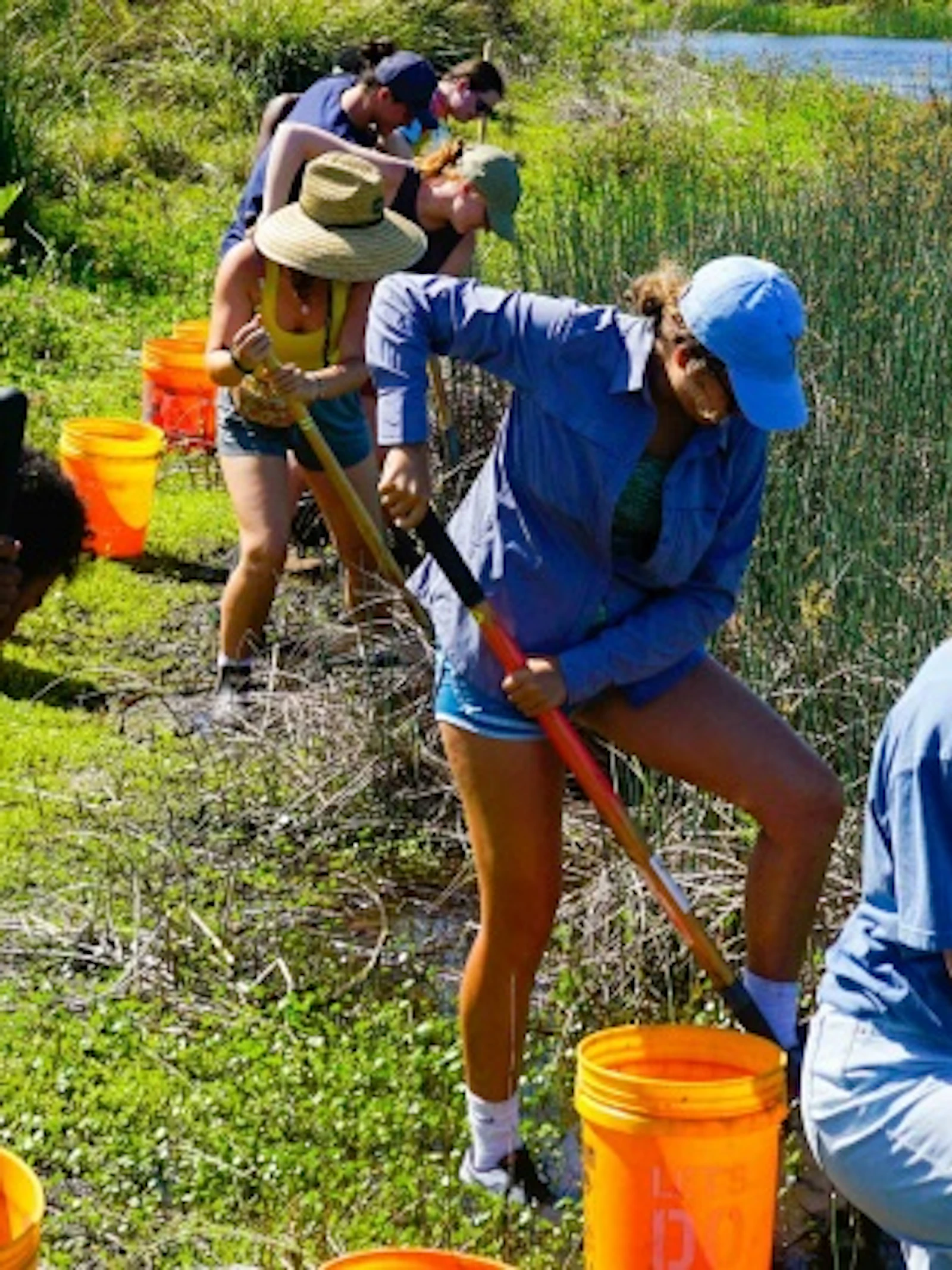 Waar burgers en wetenschap elkaar vinden: citizen science
