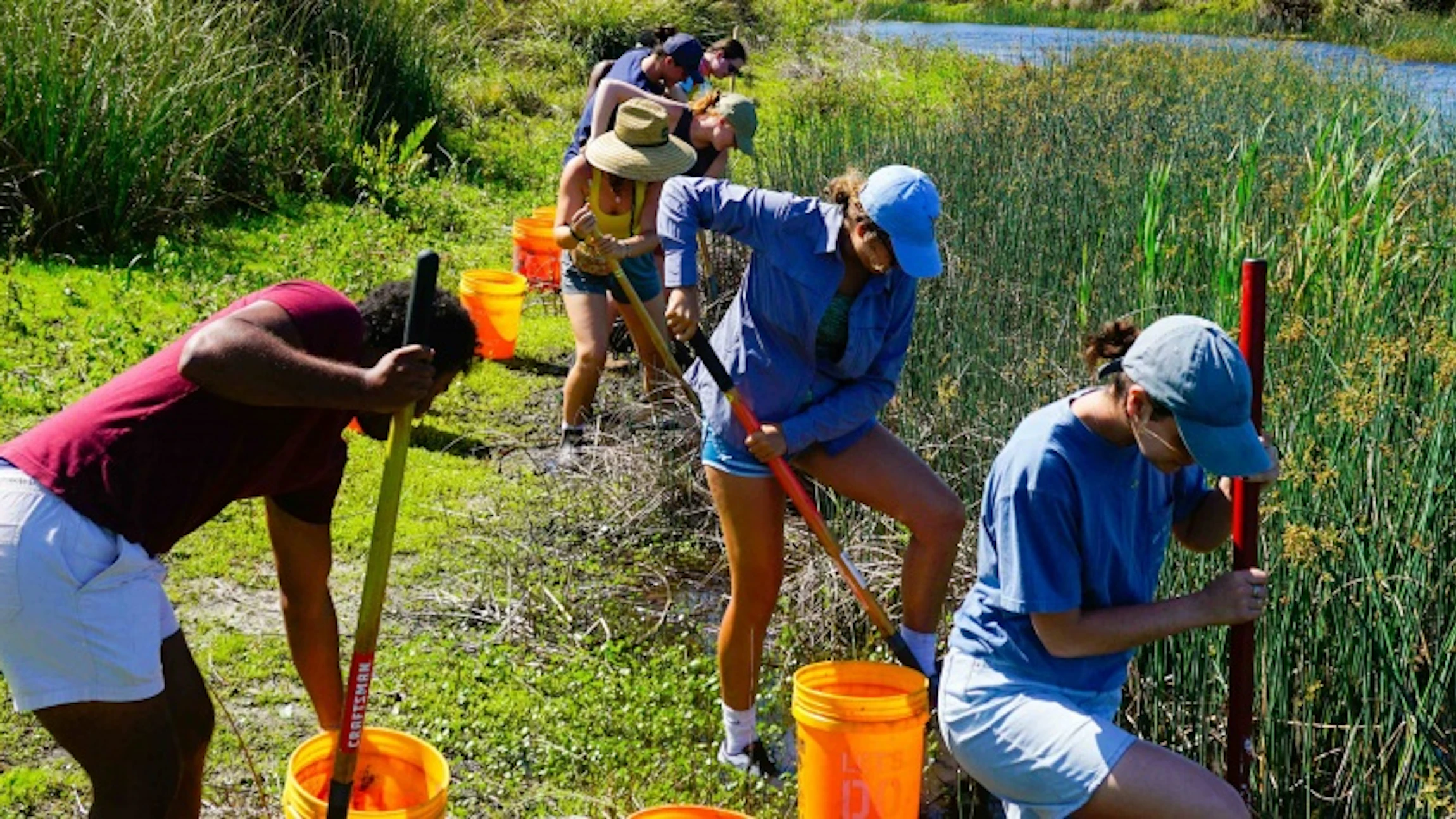 Waar burgers en wetenschap elkaar vinden: citizen science
