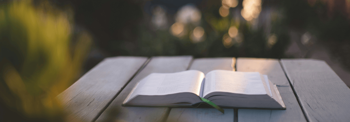 Hoe prikkelt literatuur onze zintuigen?