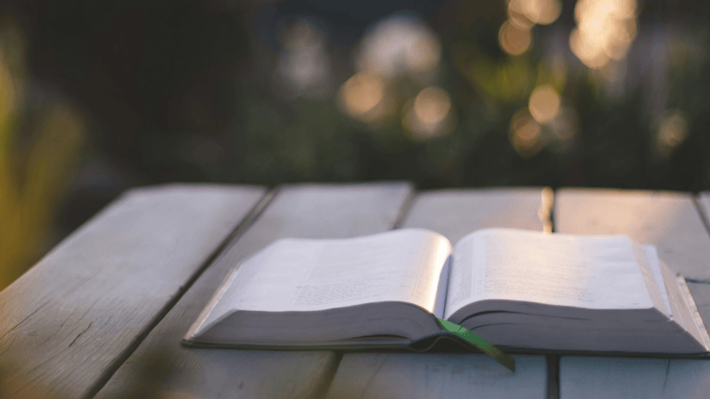 Hoe prikkelt literatuur onze zintuigen?