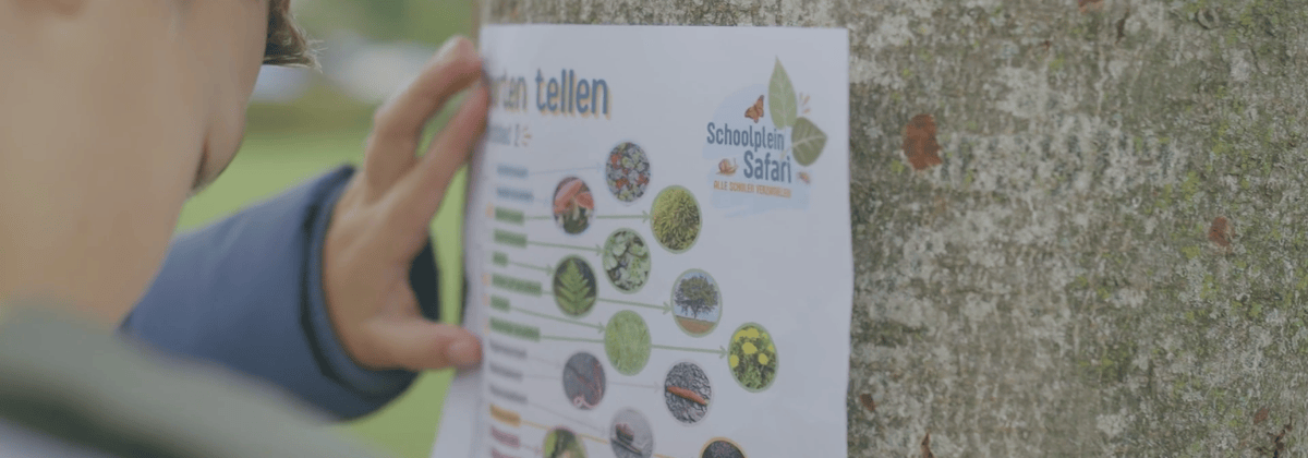 Schoolplein Safari