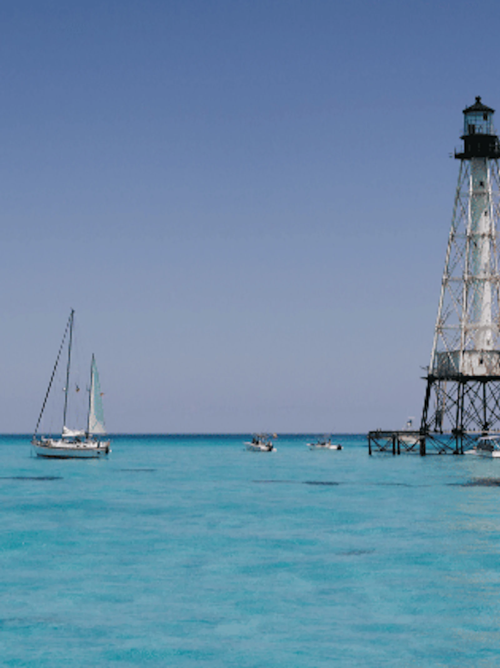 Bescherm het onderwaterleven in Florida