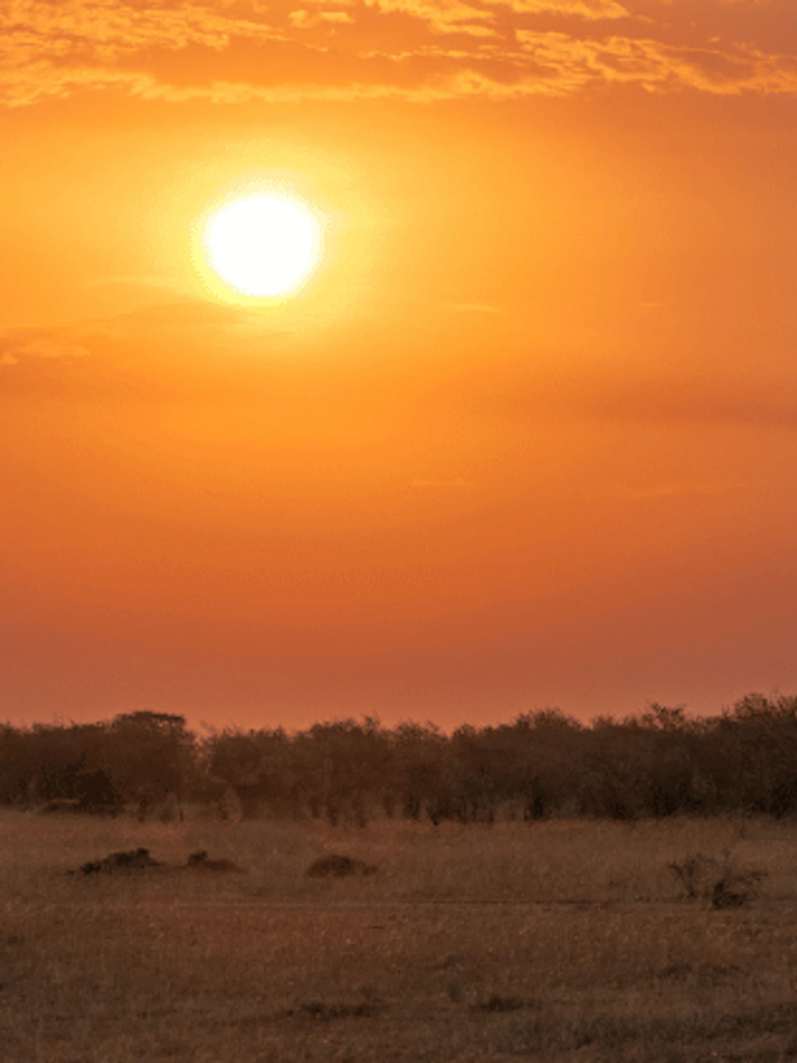 Ontrafel het klimaatverleden van Afrika