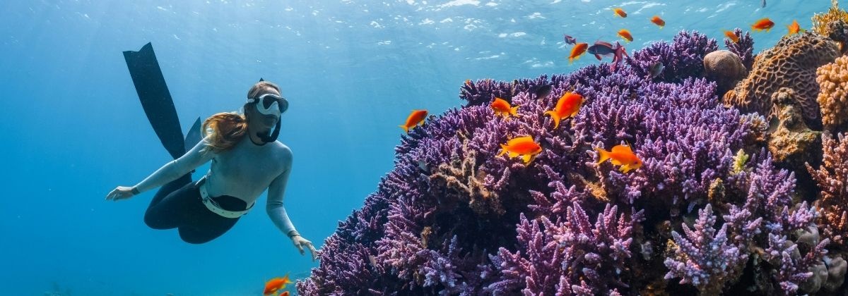 OCEAN Spotter