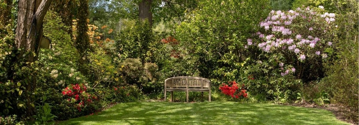 Op onderzoek in eigen tuin