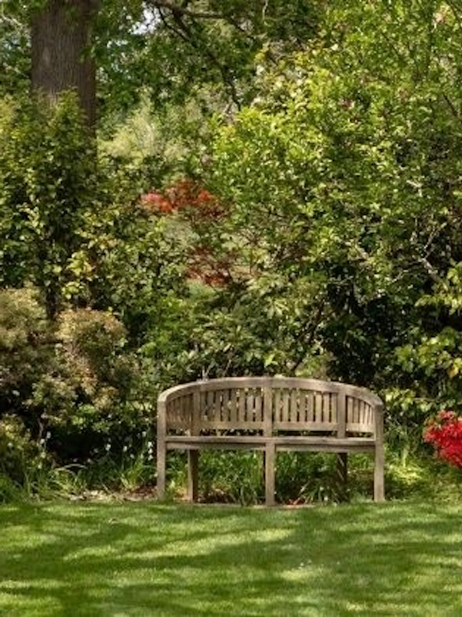 Op onderzoek in eigen tuin