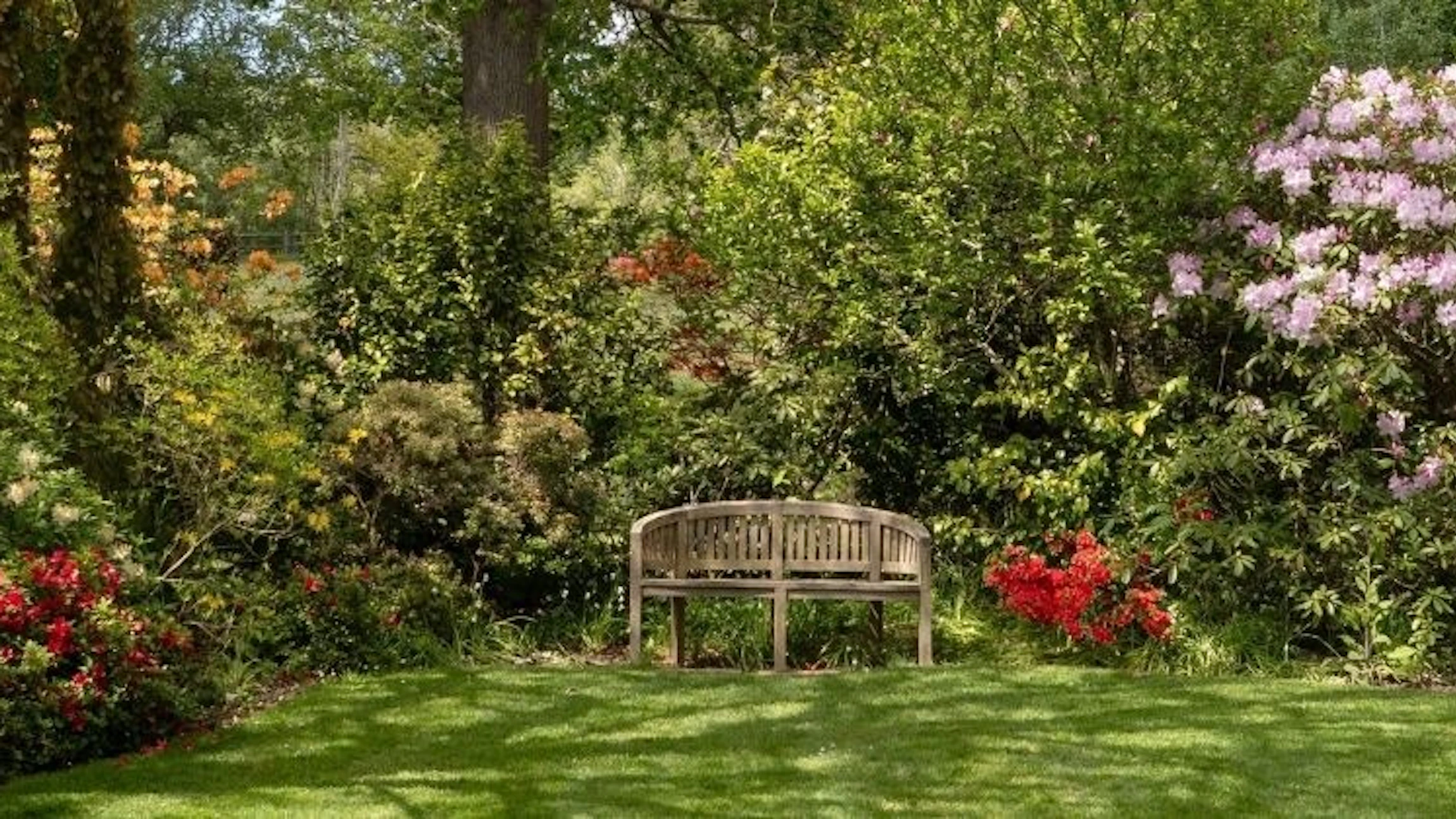Op onderzoek in eigen tuin