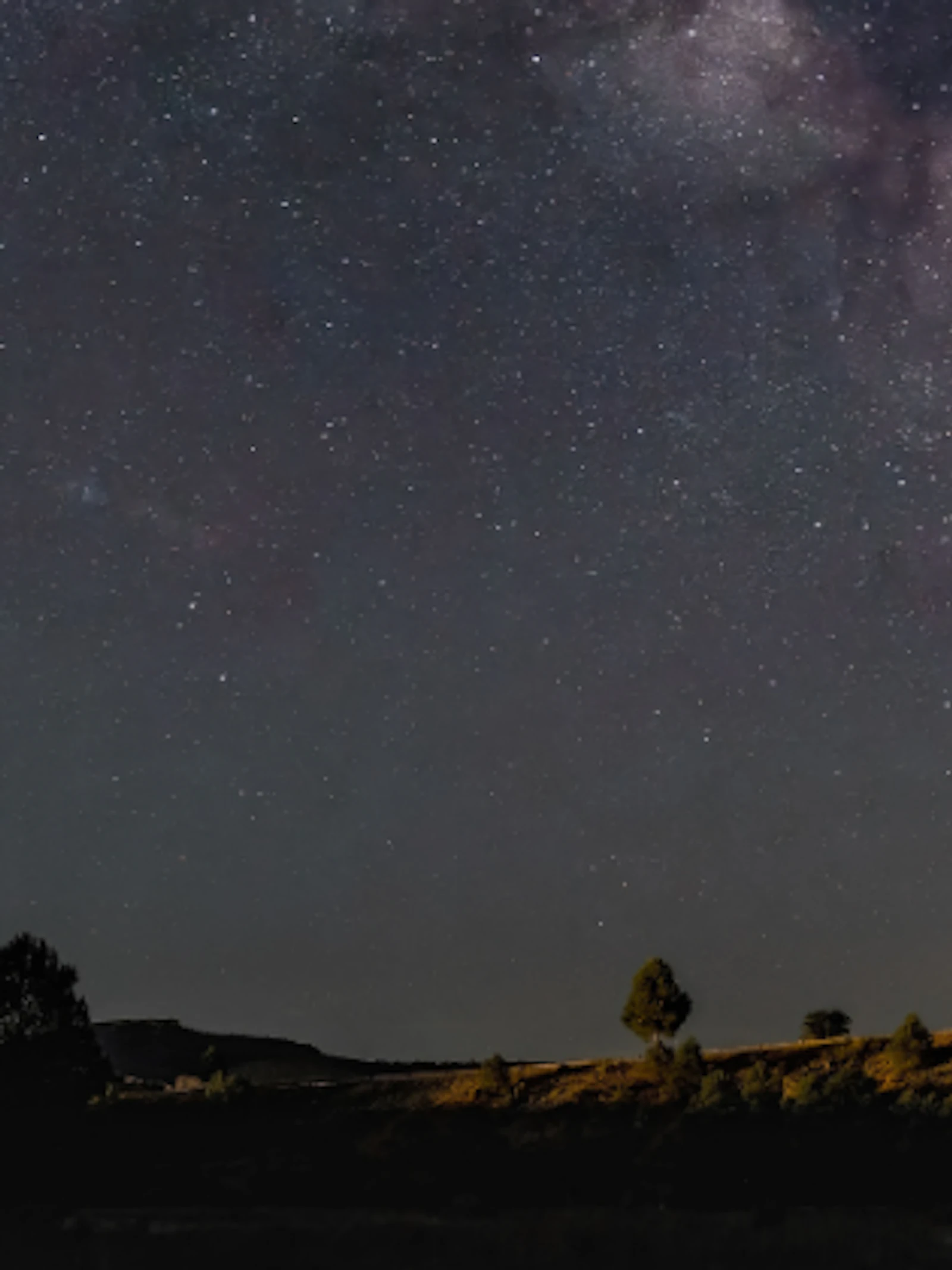 SuperWASP Variable Stars