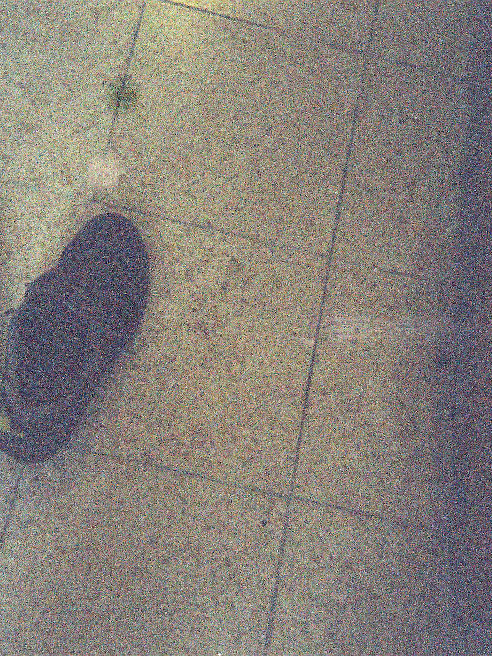 Onze gevangenissen vergrijzen. Wegwerpcamera’s laten zien wat dat betekent voor mensen achter tralies