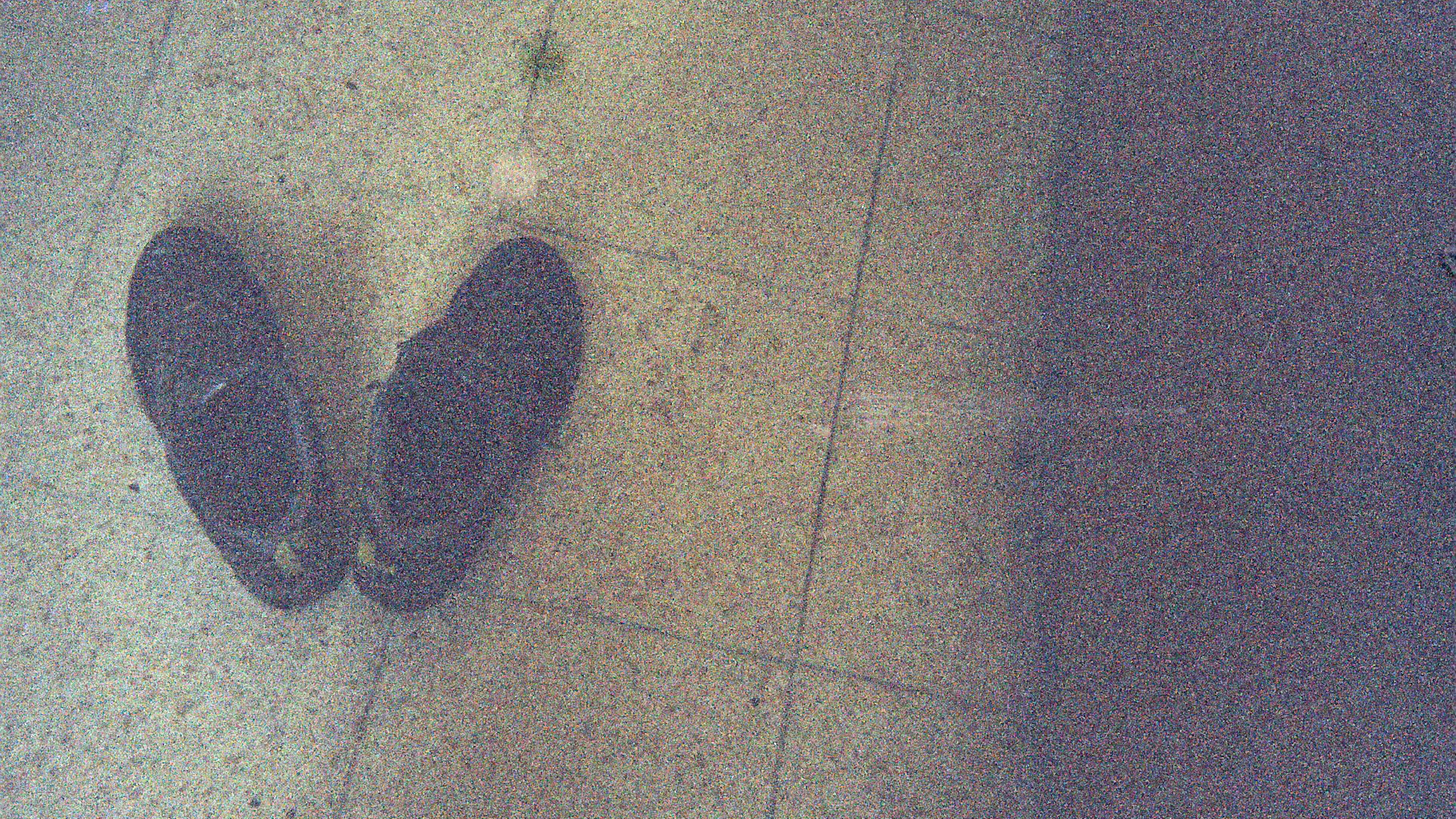 Onze gevangenissen vergrijzen. Wegwerpcamera’s laten zien wat dat betekent voor mensen achter tralies