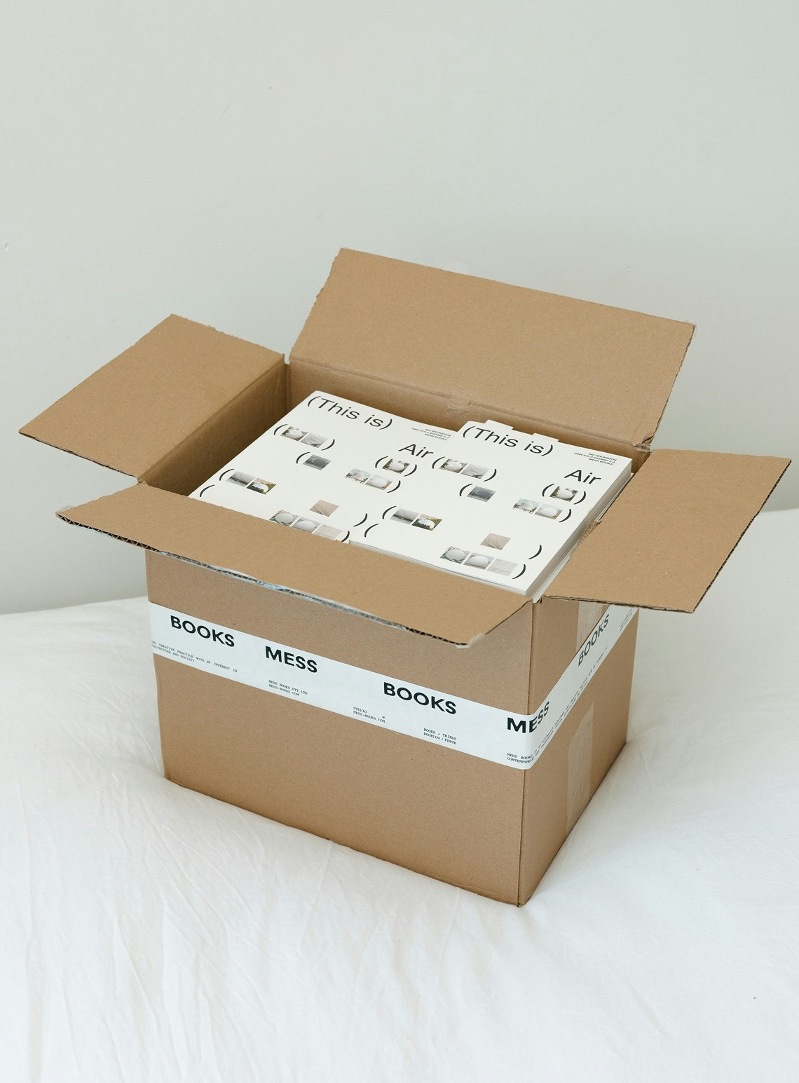 (This is) Air, Nic Brunsdon and Mess Books