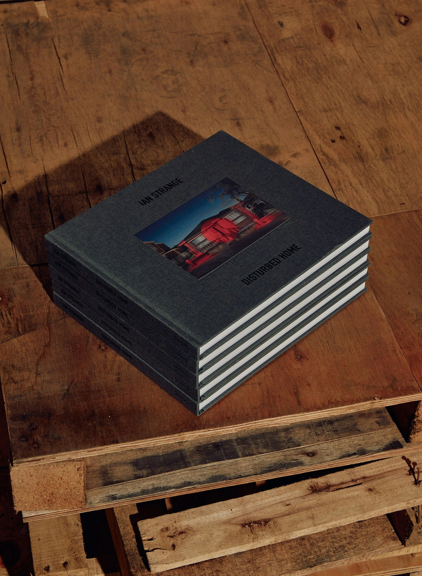Disturbed Home, Ian Strange Monograph