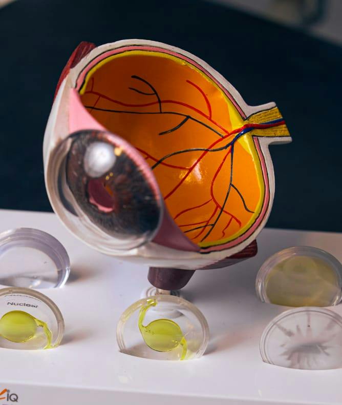 Eye model with intraocular lenses