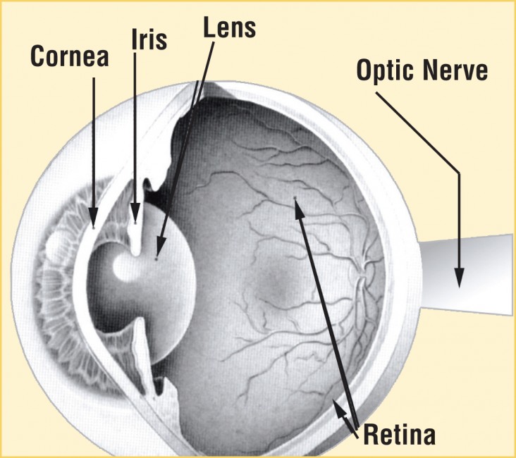 Dr. Wong eye image