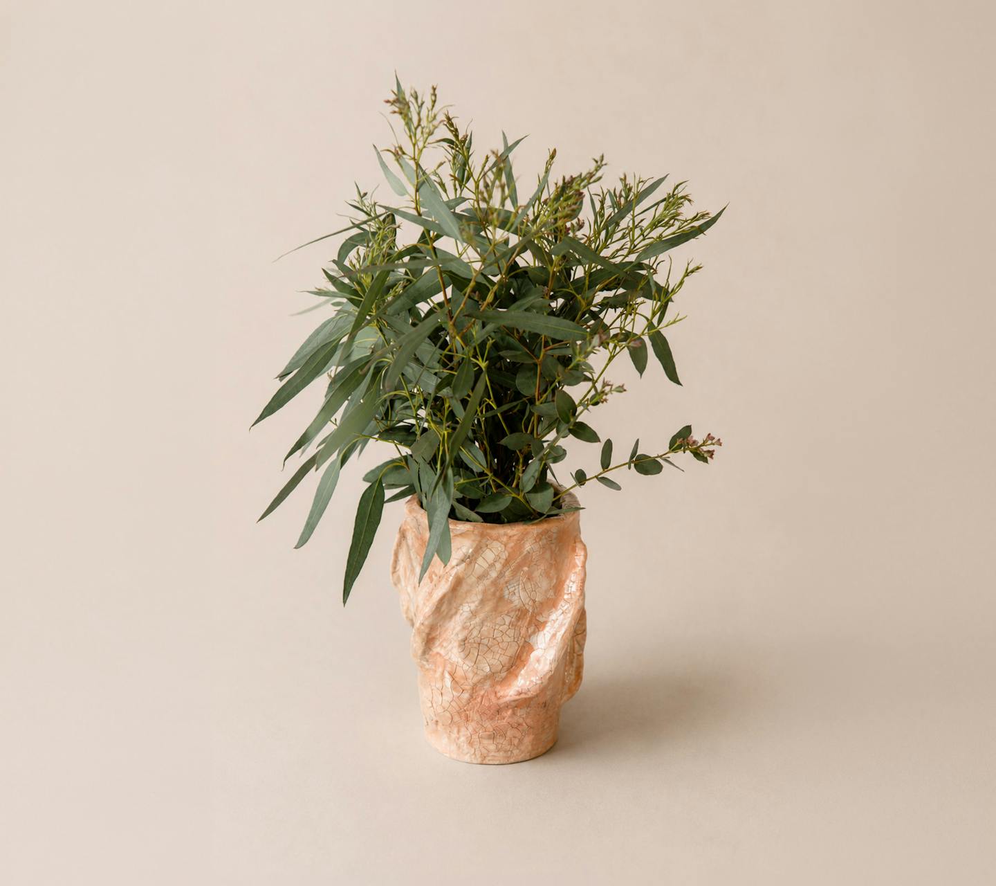 bloom no. 11