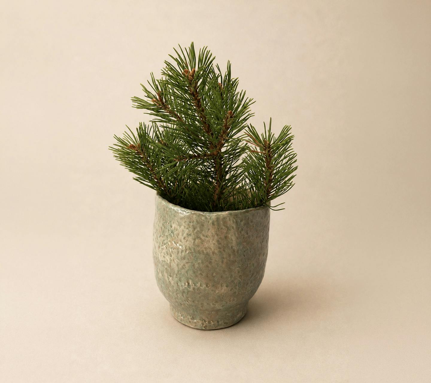 forest no. 41