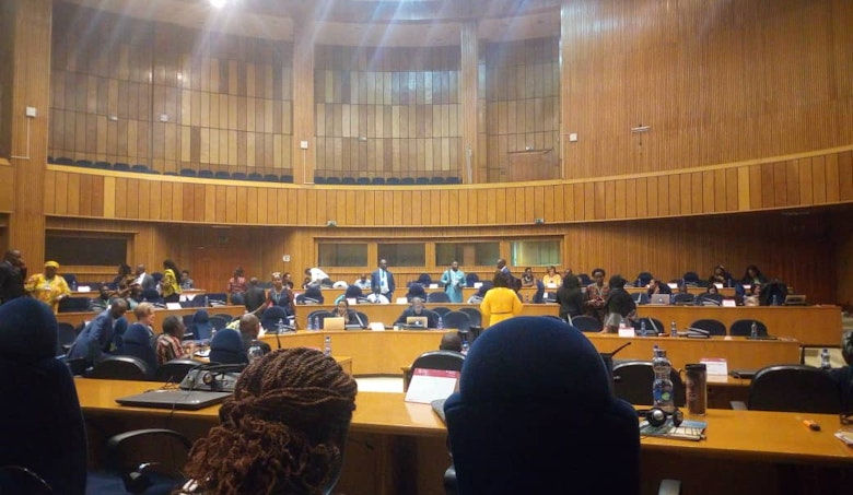 African CSOs jointly voice child rights issues before the African Union