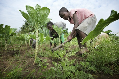 Strijd tegen kinderarbeid in Oost-Afrika