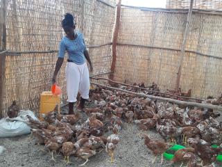 ethiopie_kinderhandel_afrika_kippen.jpg