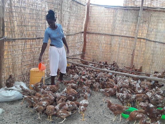 Kippenfokkerij biedt Ethiopische meisjes veilige toekomst kinderhandel Afrika Terre des Hommes