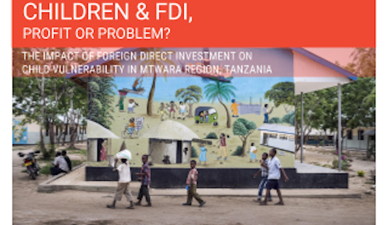 Baseline research report: The impact of Foreign Direct Investment on Child Vulnerability in Mtwara region, Tanzania