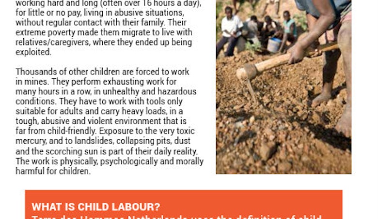 Factsheet about Terre des Hommes Netherlands&#039; programme addressing the Worst Forms of Child Labour in East Africa.