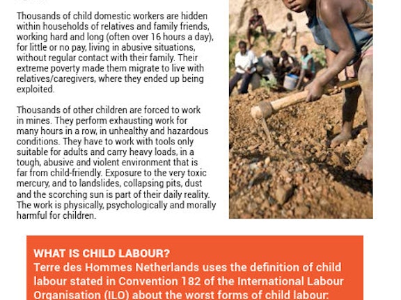 Factsheet about Terre des Hommes Netherlands&#039; programme addressing the Worst Forms of Child Labour in East Africa.