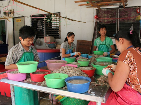 Child labour in the Thai shrimp industry 