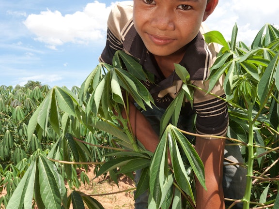 Chan Bros Touch (13) uit Pursat in Cambodja ging niet naar school. In plaatst daarvan werkte hij met zijn hakmes en schop op de cassaveplantage. Zijn familie was voor een groot deel afhankelijk van zijn inkomen. Chan kon daarom niet naar school, maar dankzij maatschappelijk werker Seng Chamroen kwam daar verandering in. Gelukkig maar, want Chan heeft heel wat in zijn mars. 