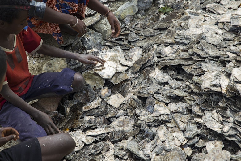 Foto Arie Kievit/Terre des Hommes