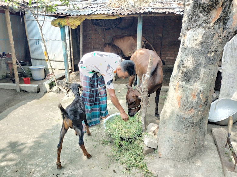 Recovering boyhood: how Rakib went back to school and became an advocate against child marriage