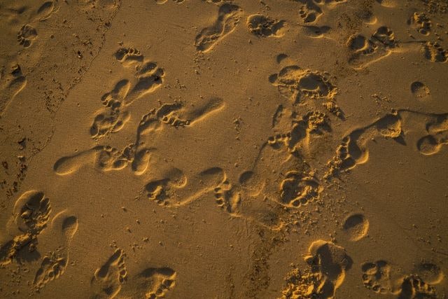 Deficit di attenzione e iperattività nei bambini
