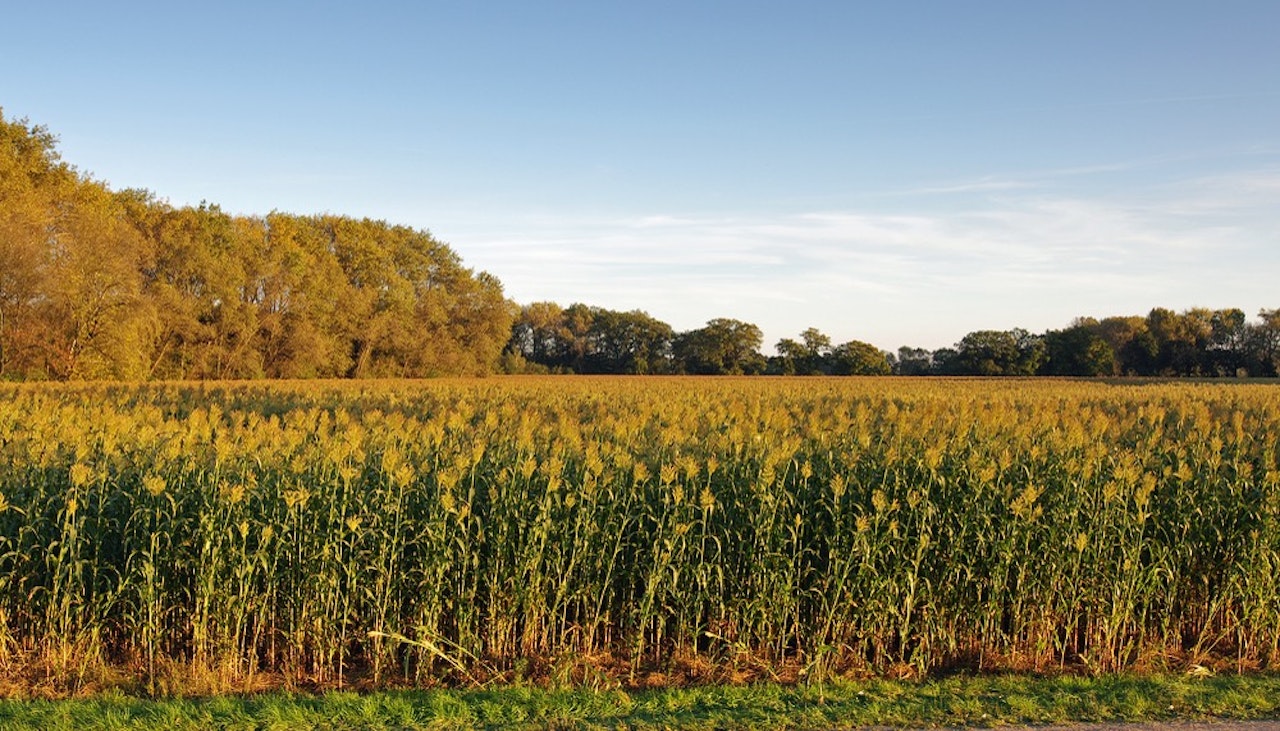 A Metania biogas and biomethane plant converting agricultural by-products into renewable energy