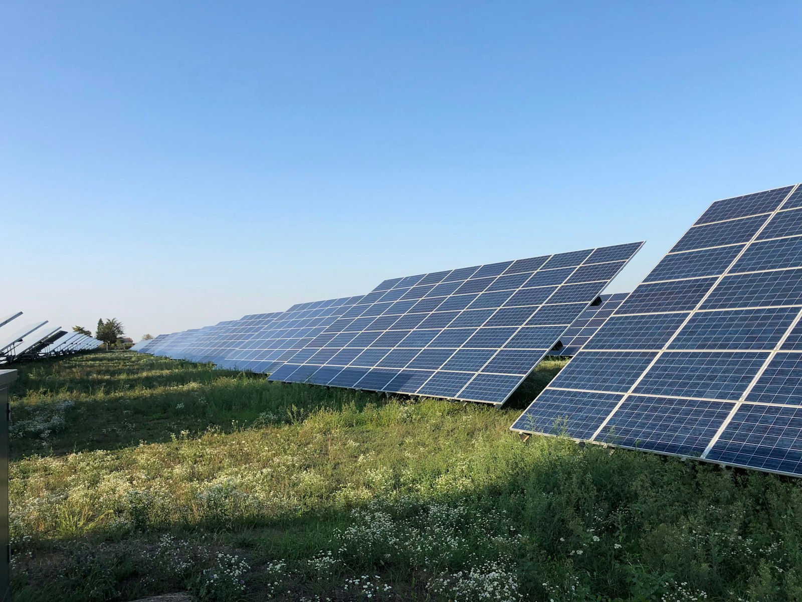 Rows of ground-mounted solar panels in a green field in Piedmont, Italy.