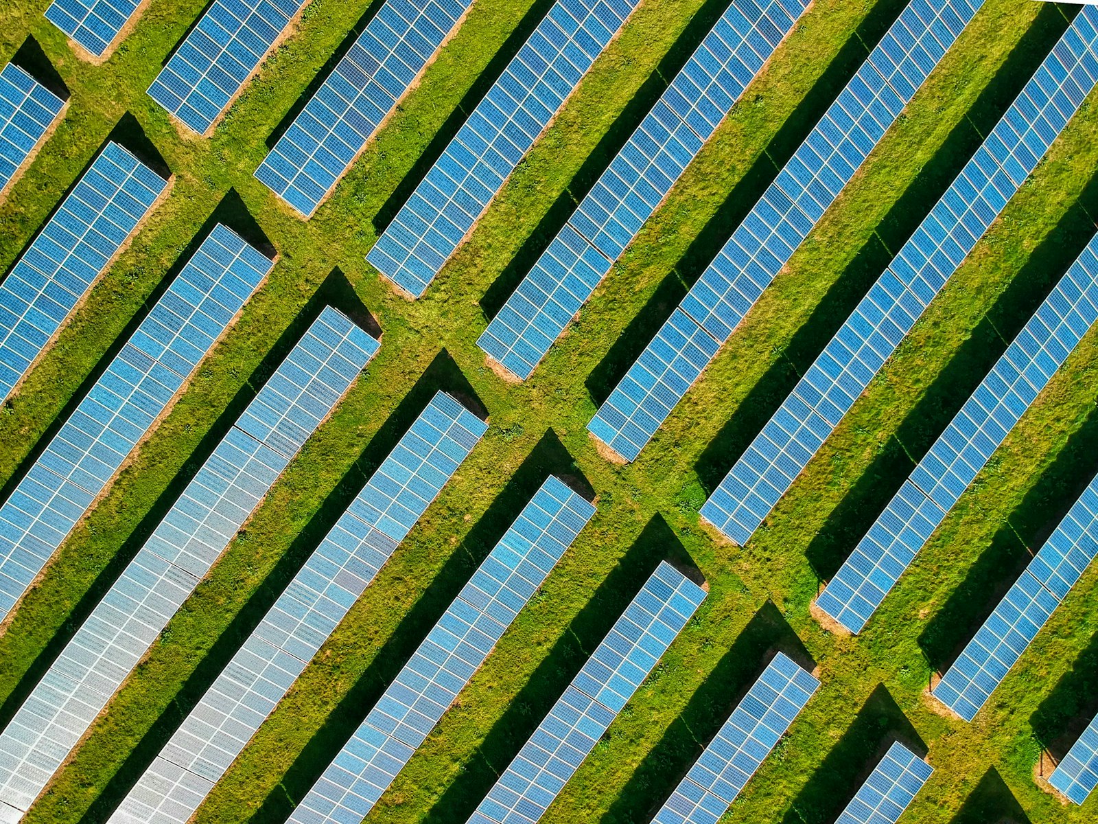 An aerial view of rows of solar panels arranged on a green field.