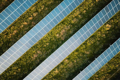 Aerial view of solar panels in a field.
