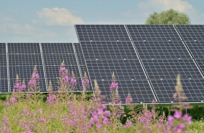 Black solar panels on purple flower field during daytime.