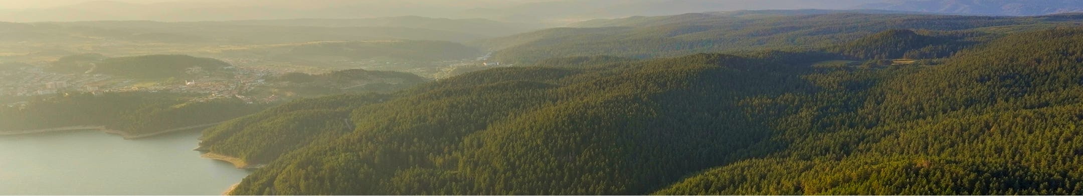 Office media