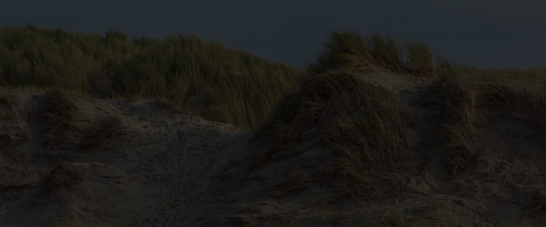 Banner media