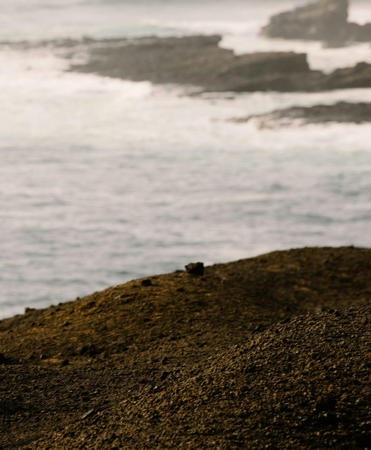 shoreline