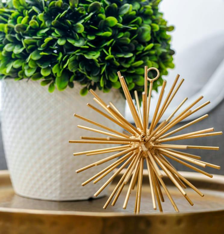plant and art piece