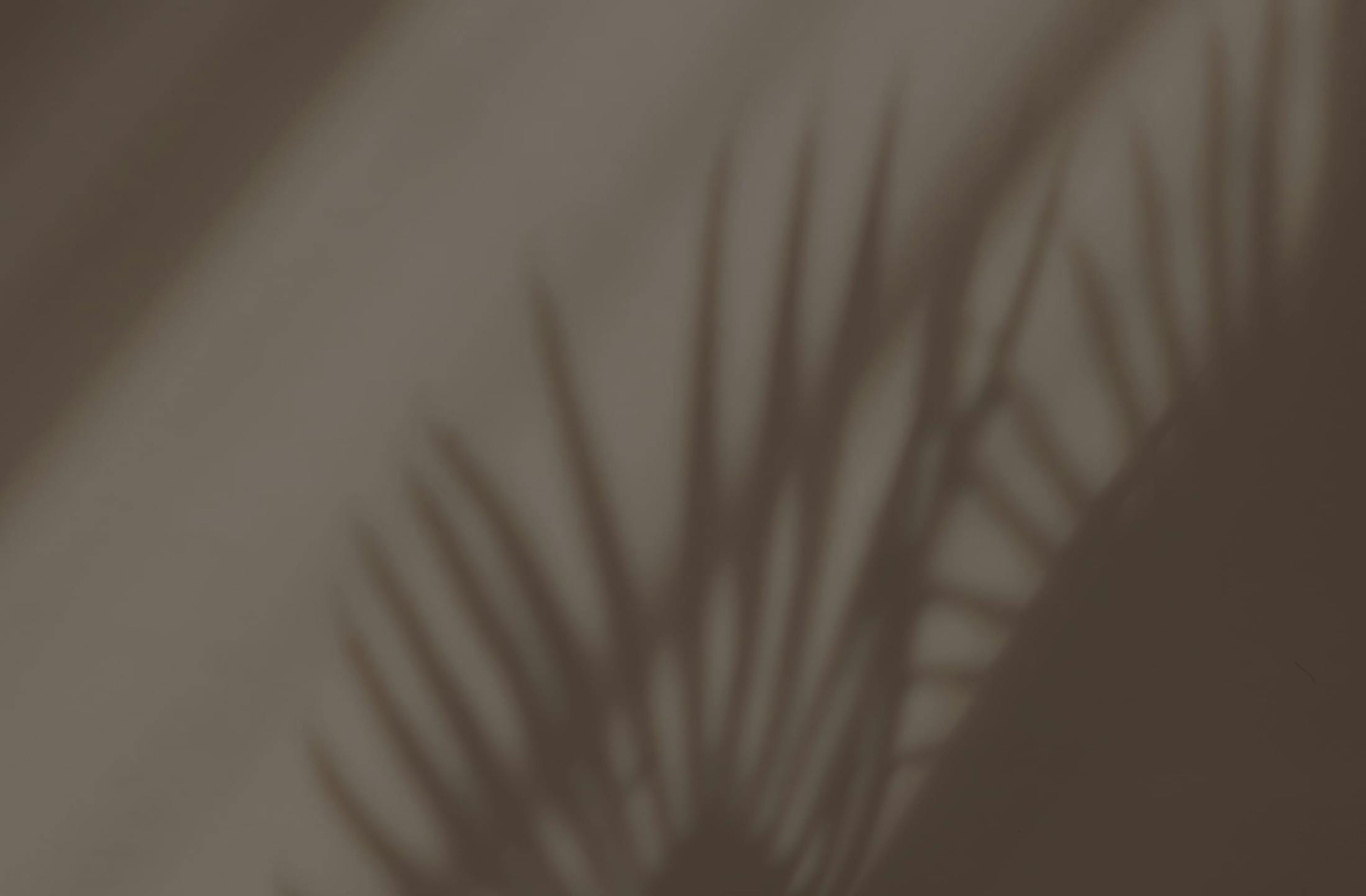 Background media