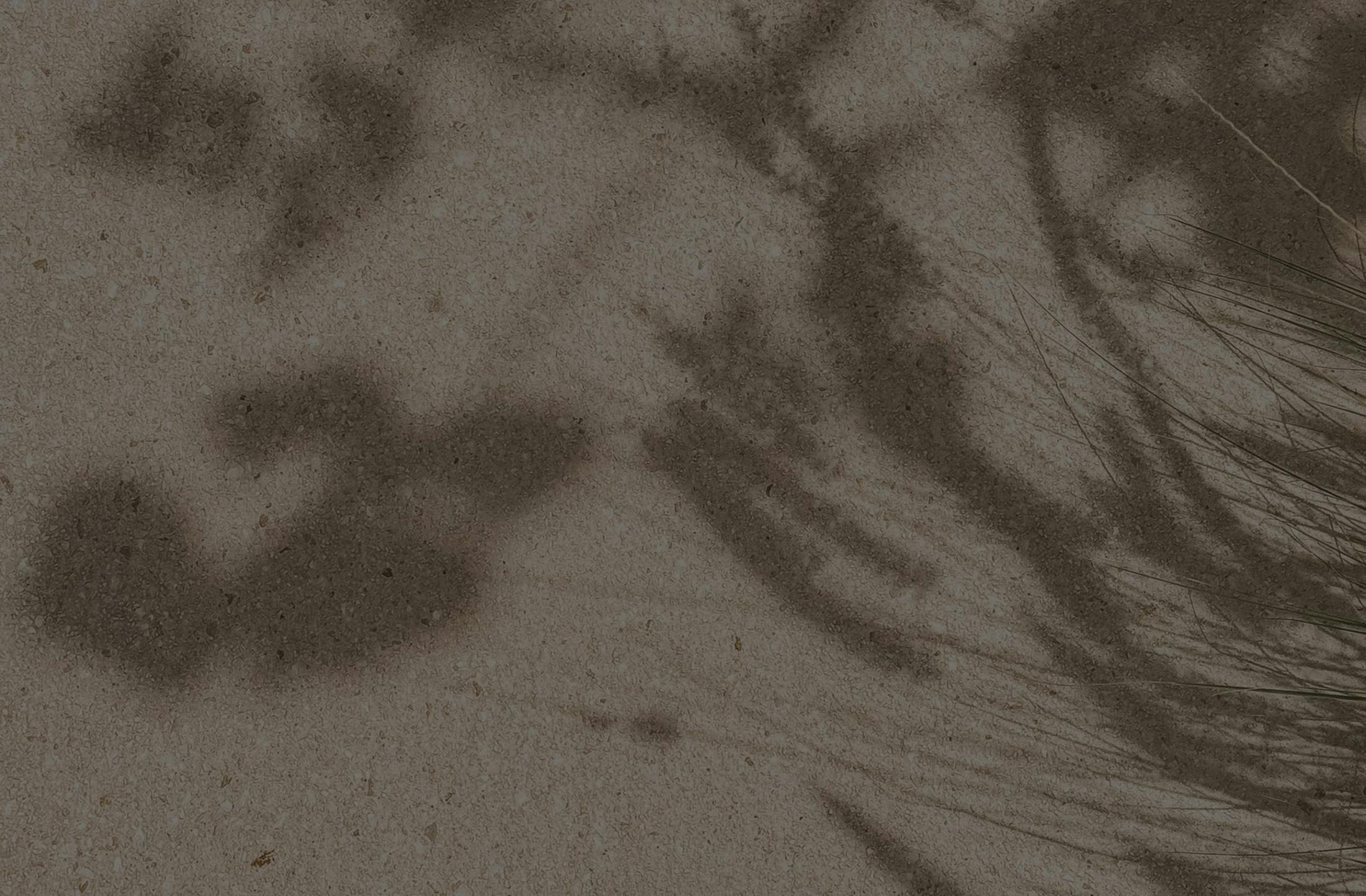 Background media