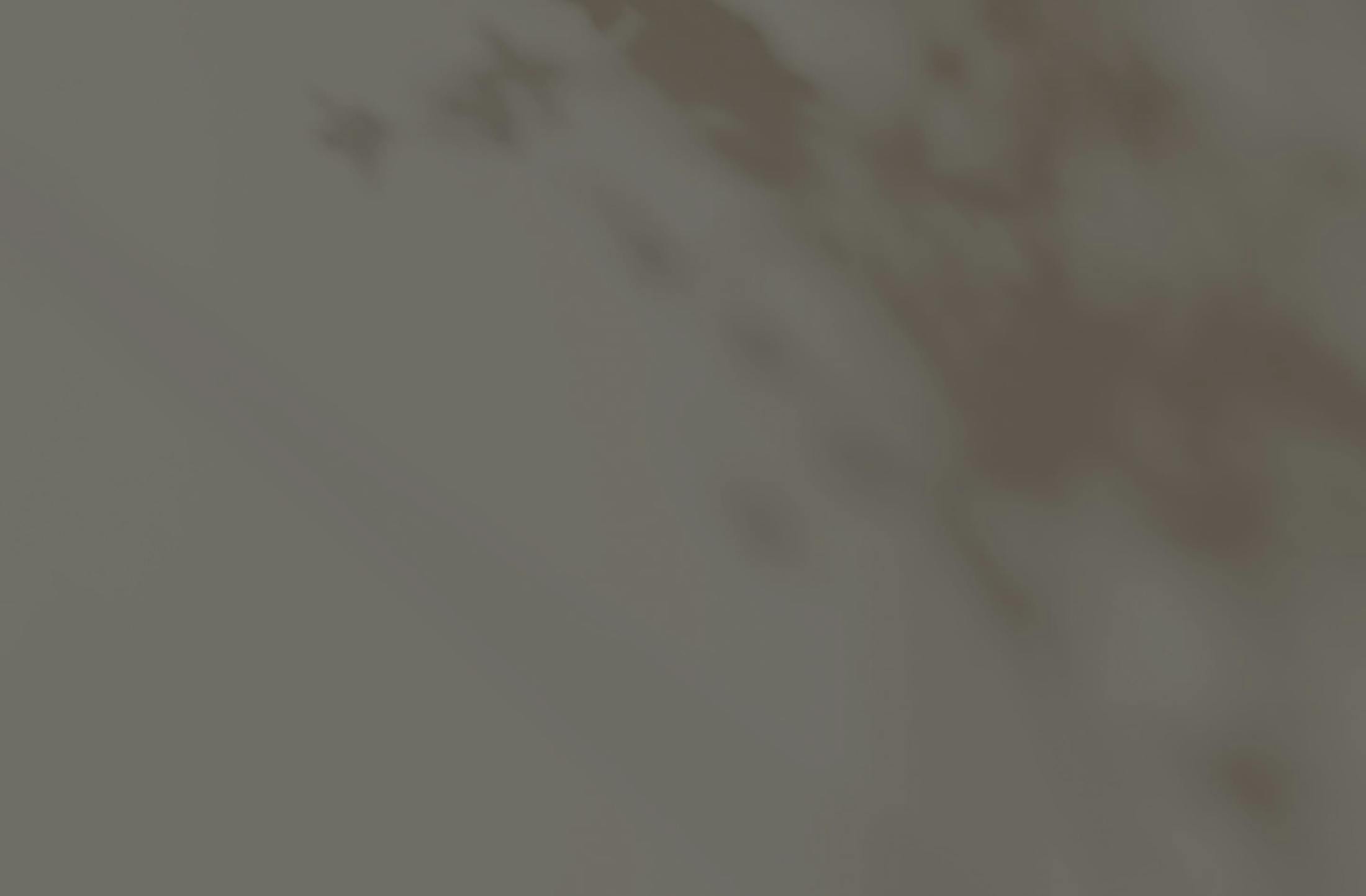 Background media