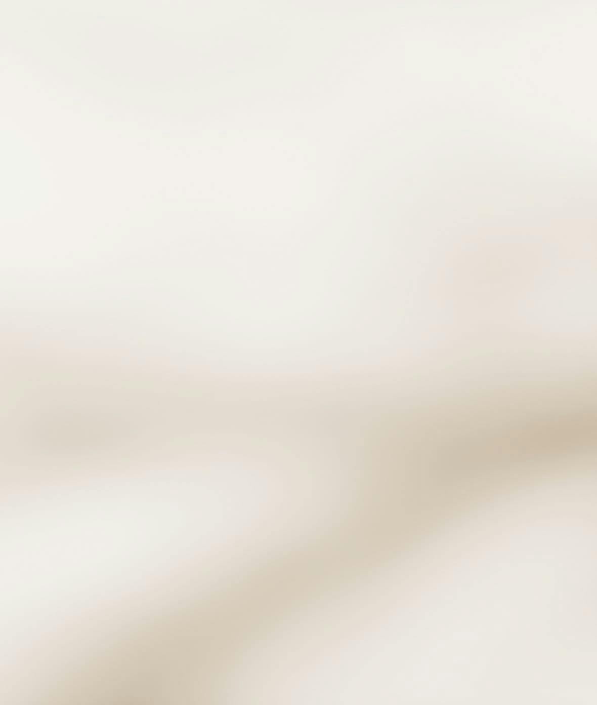 Texture Background