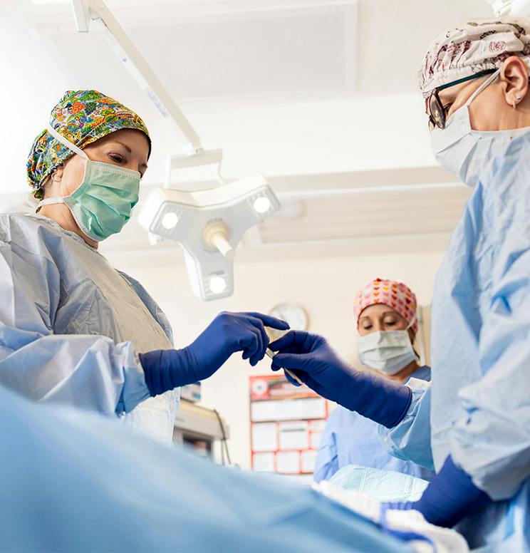 Dr. Sonya Merriman performing a procedure