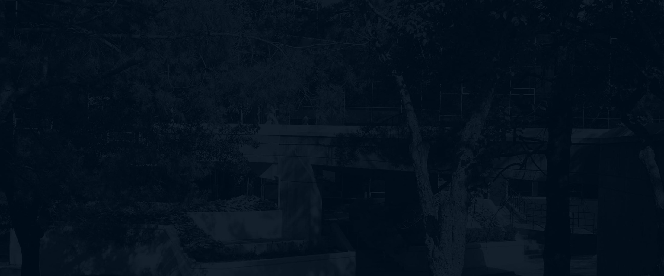 Banner media
