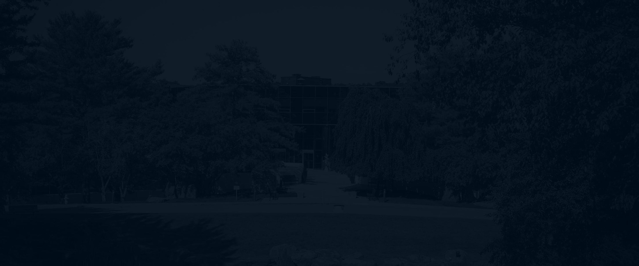 Banner media