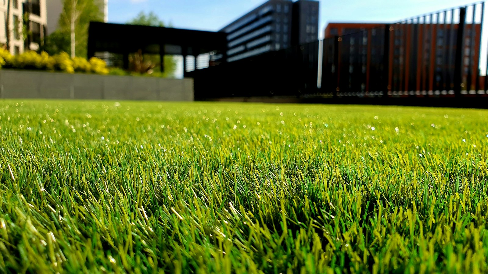 A closeup shot of a green lawn with wooden garden structures in the background.
